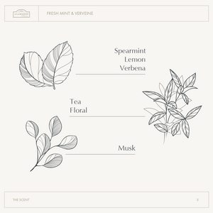 Fresh Mint & Verveine Candle