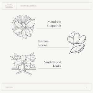 Jasmine & Santal Exfoliating Massage Bar