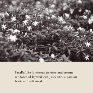 Jasmine & Santal Earth Body Scrub