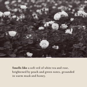 White Tea & Rose Whipped Body Butter