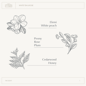 White Tea & Rose Whipped Body Butter